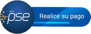 pse-removebg-preview